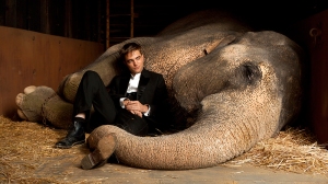 water-for-elephants-broadway-musical